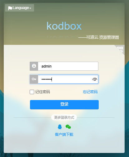 image-20241226111916300